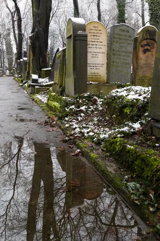 Nouveau cimetière juif sous la neige, Cracovie, Pologne — Nicolas Marincic