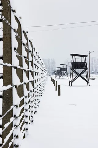 Barbelés enneigés et mirador, Auschwitz-Birkenau, Pologne — Nicolas Marincic