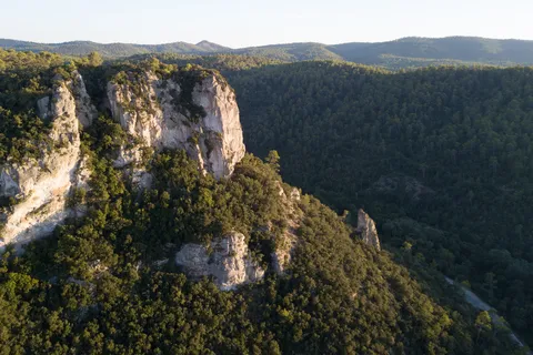 Falaises calcaires blanches au-dessus des collines boisées, France — Nicolas Marincic