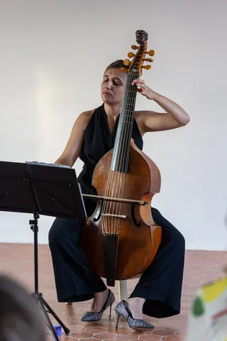 Viola da gamba player in concert, Arles, France — Nicolas Marincic