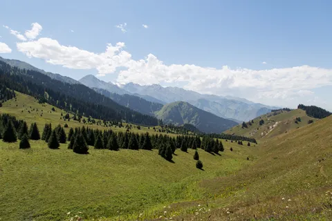 Kok-Zhailau meadows and spruce forest above Almaty, Kazakhstan — Nicolas Marincic