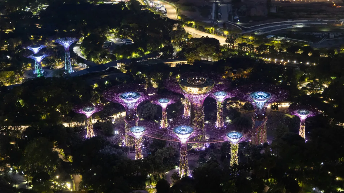 Supertree Grove lit up at night, from above, Singapore — Nicolas Marincic