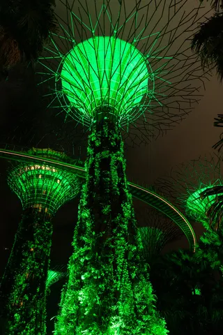 Supertree in green light, Singapore — Nicolas Marincic