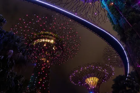 Supertrees and the OCBC Skyway at night, Singapore — Nicolas Marincic