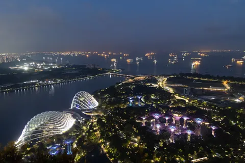 Gardens by the Bay from above at night, Singapore — Nicolas Marincic