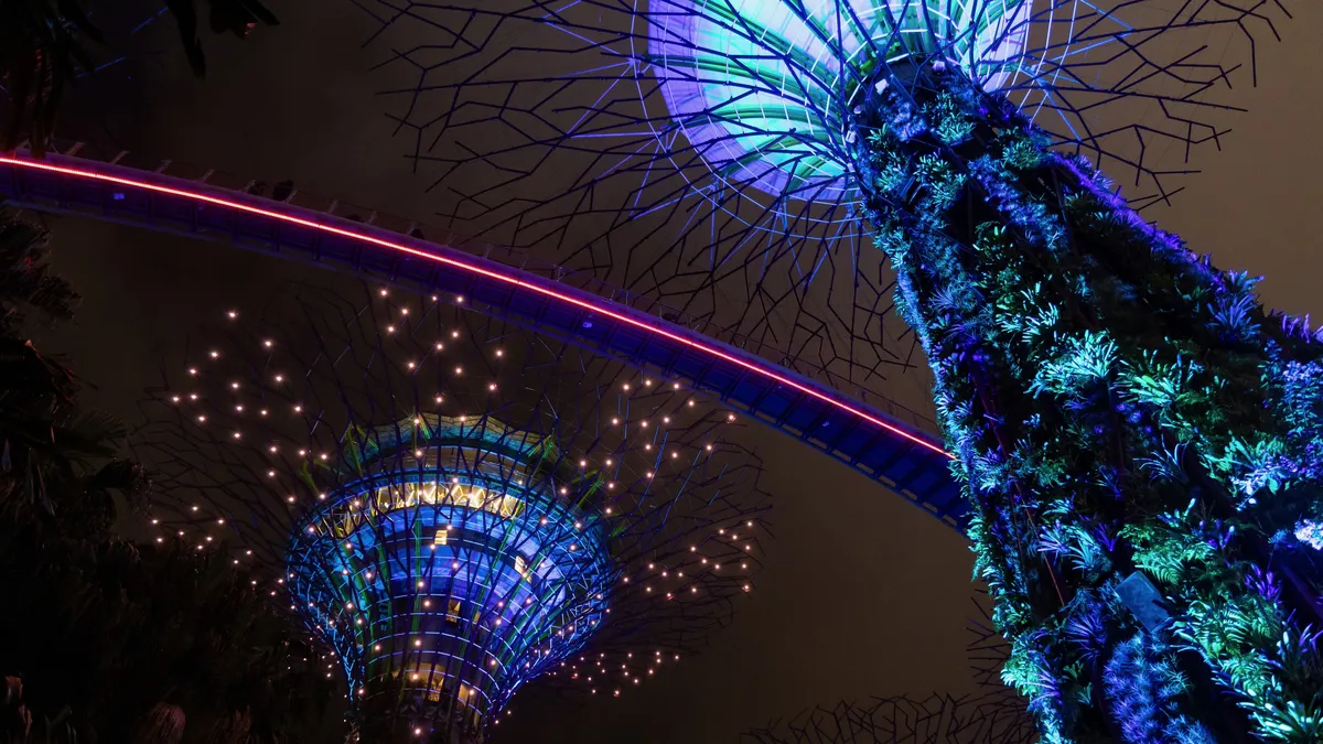 Illuminated Supertrees at Gardens by the Bay, Singapore — Nicolas Marincic