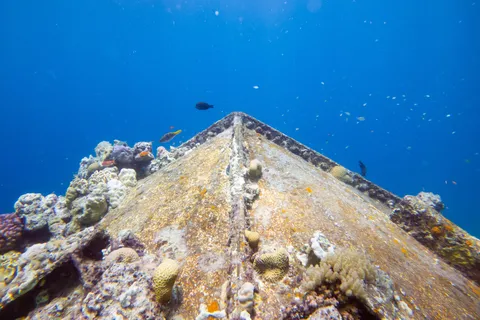 Tool shed of Cousteau’s Precontinent II, Sha’ab Rumi, Sudan — Nicolas Marincic