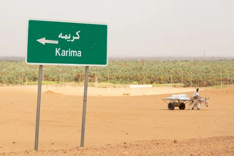 Road sign to Karima and donkey cart, Sudan — Nicolas Marincic