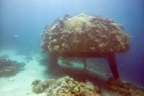Remains of Cousteau’s Precontinent II, Sha’ab Rumi, Sudan — Nicolas Marincic