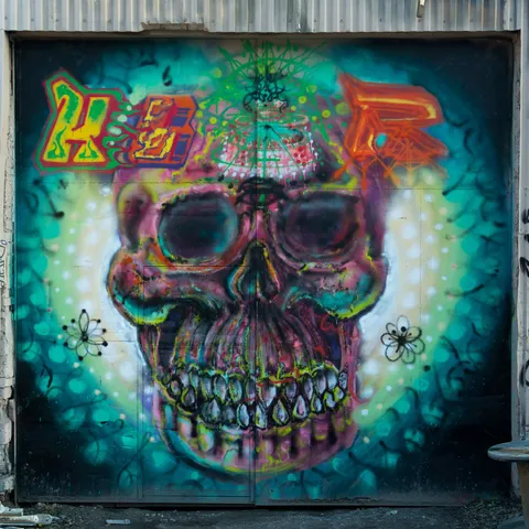Psychedelic skull, Snösätra graffiti, Sweden — Nicolas Marincic