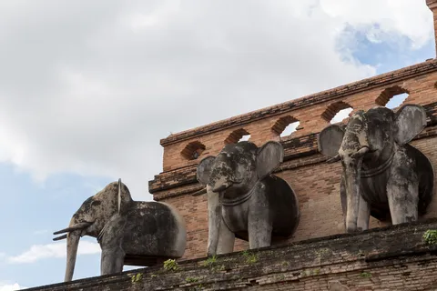 Stone elephants of Wat Chedi Luang, Chiang Mai, Thailand — Nicolas Marincic