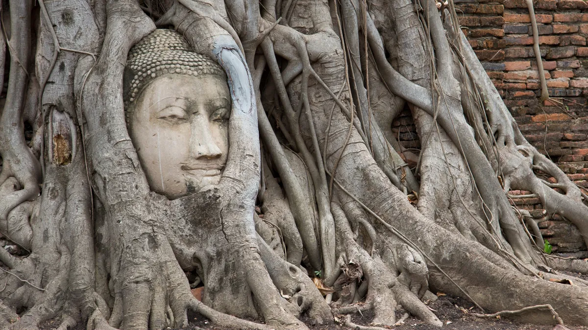 Buddha head in the roots at Wat Mahathat, Thailand — Nicolas Marincic