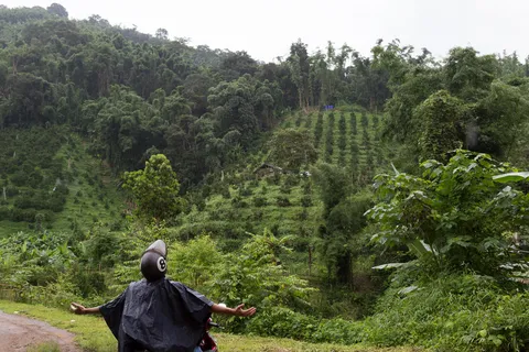 Arms outstretched to the hills in the rain, Thailand — Nicolas Marincic