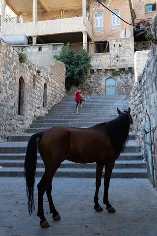 Horse on a stone stairway in the old town, Turkey — Nicolas Marincic