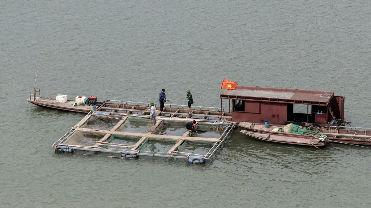 Floating fish farm on the Đà River reservoir, Vietnam — Nicolas Marincic