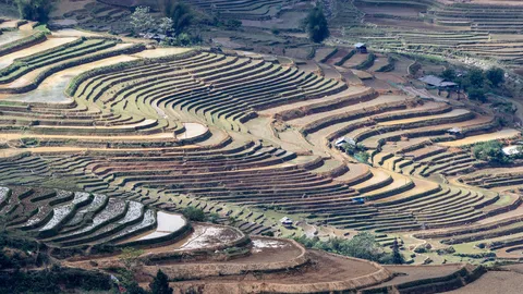 Rizières en terrasses inondées de Mù Cang Chải, Vietnam — Nicolas Marincic