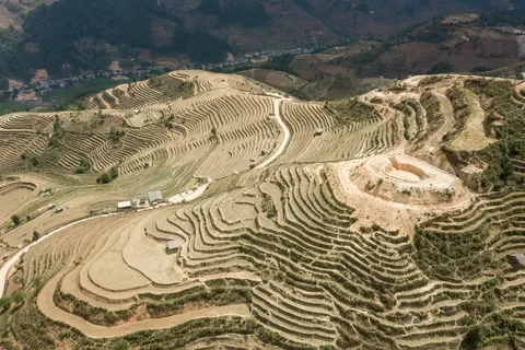 Rice terraces of Mù Cang Chải, aerial view, Vietnam — Nicolas Marincic