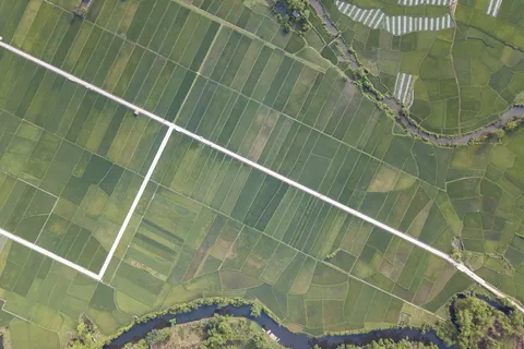 Rice fields and river from above, Vietnam — Nicolas Marincic