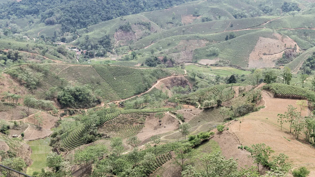 Cultivated hills and plantations, Vietnam — Nicolas Marincic