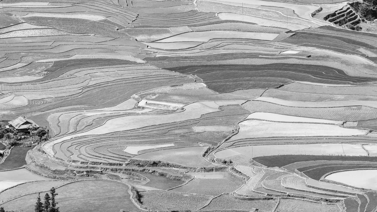 Courbes des rizières en terrasses, Vietnam — Nicolas Marincic