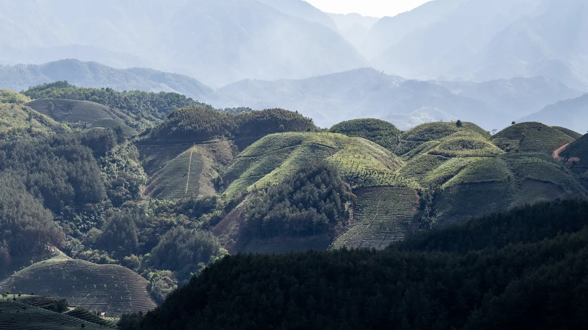 Green hills beneath misty blue ridges, Vietnam — Nicolas Marincic