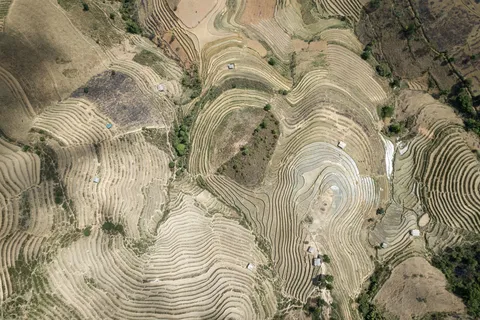 Rice terraces seen from the air, Vietnam — Nicolas Marincic